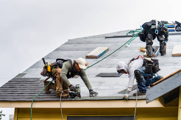 Professional Roofing technician working in Afton, WY